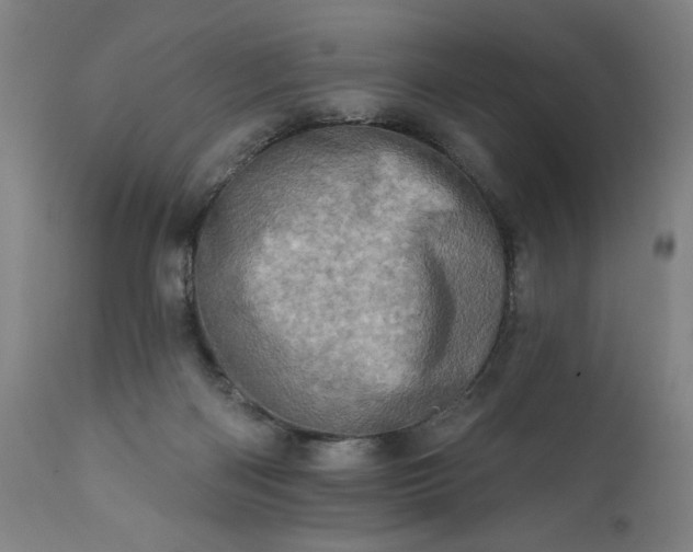 X0000113200122200909241408