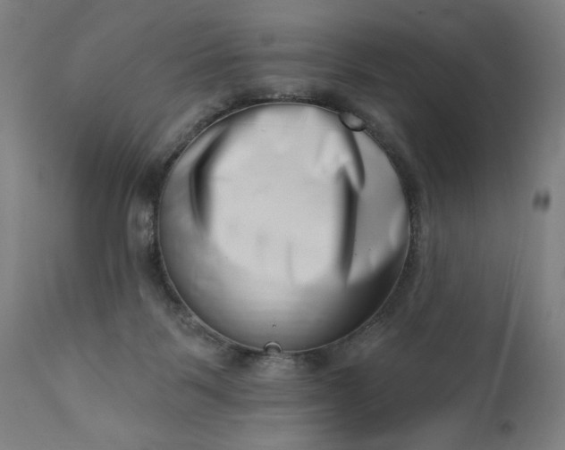 X0000113200123200909241408