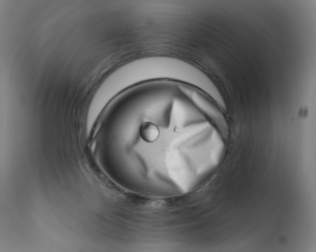 X0000113200124200909241408