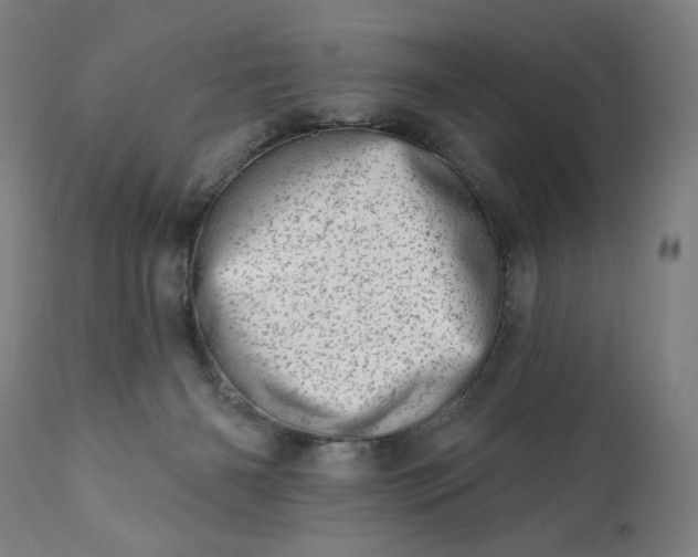 X0000113200126200909241408