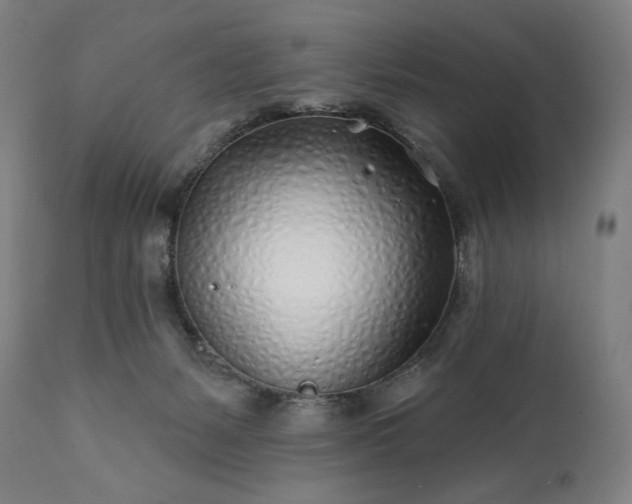 X0000113200127200909241408