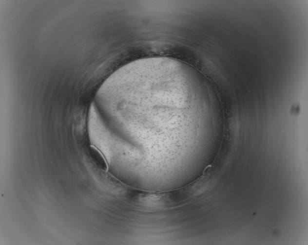 X0000113200129200909241408