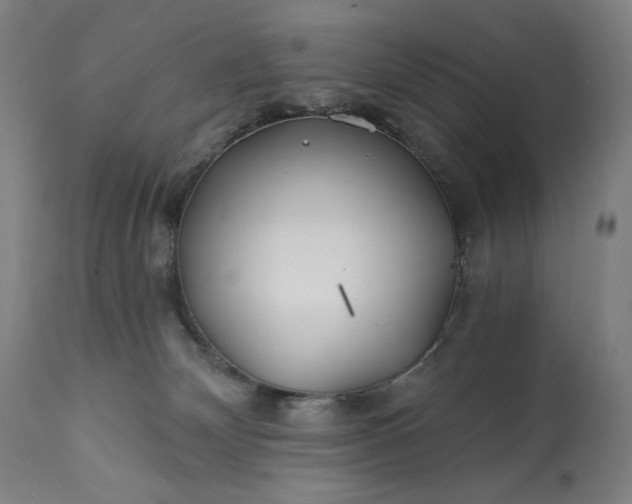 X0000113200132200909241408