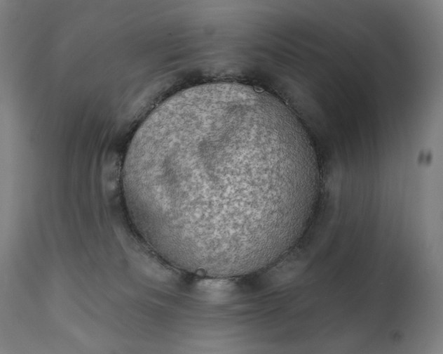 X0000113200133200909241408