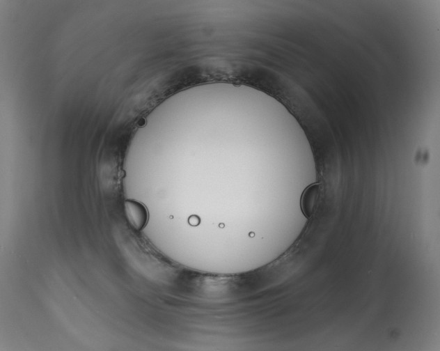 X0000113200134200909241408