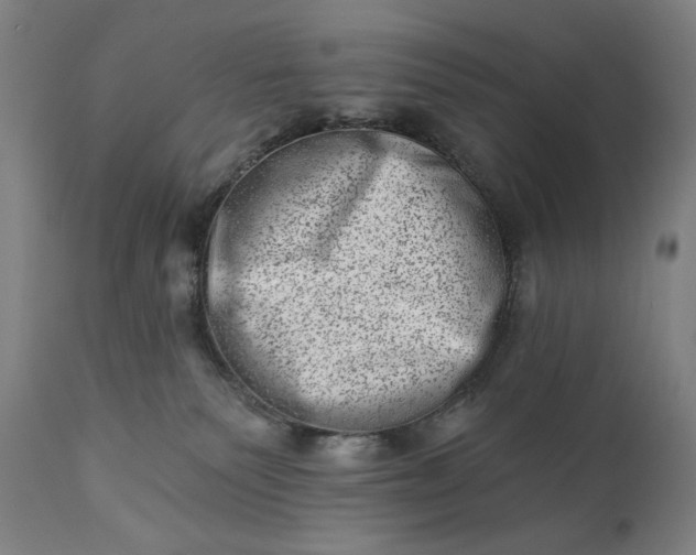 X0000113200135200909241408