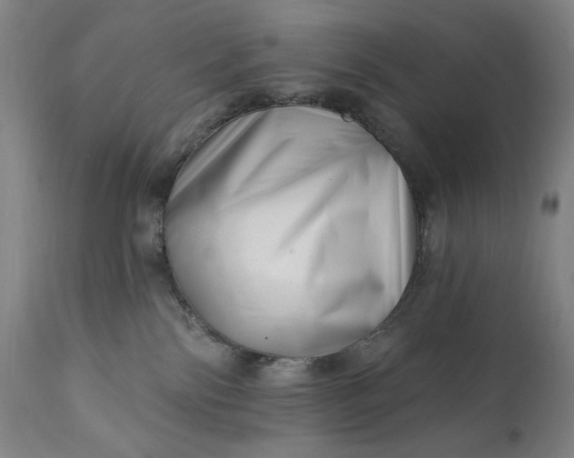 X0000113200138200909241408