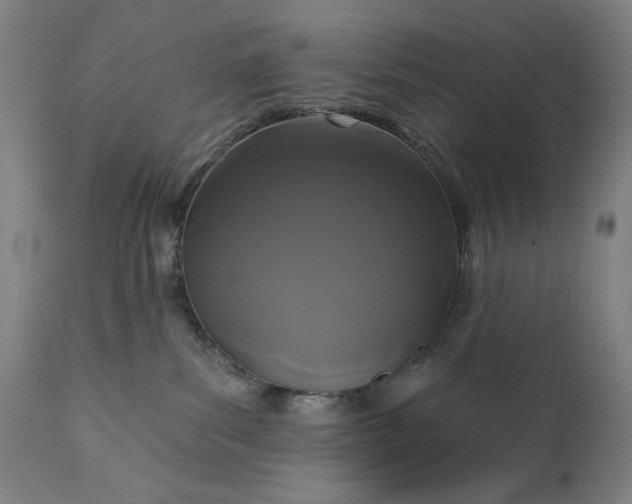 X0000113200139200909241408