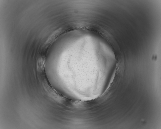 X0000113200142200909241408