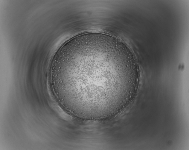 X0000113200145200909241407