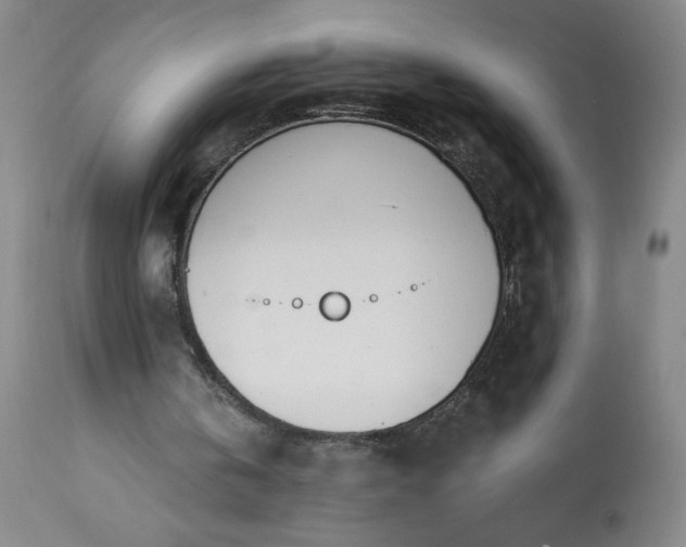 X0000113200146200909241407