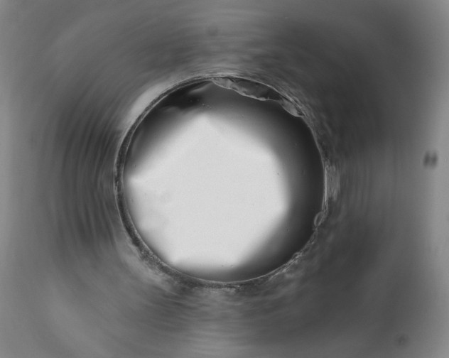 X0000113200147200909241407