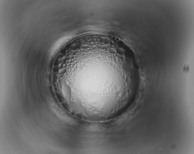 X0000113200149200909241407