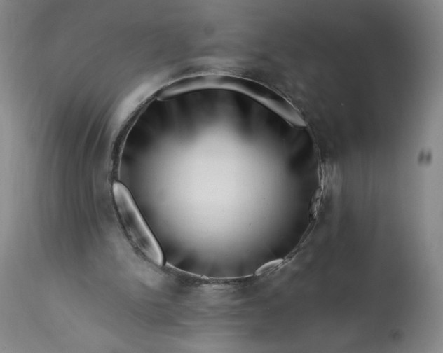 X0000113200150200909241407