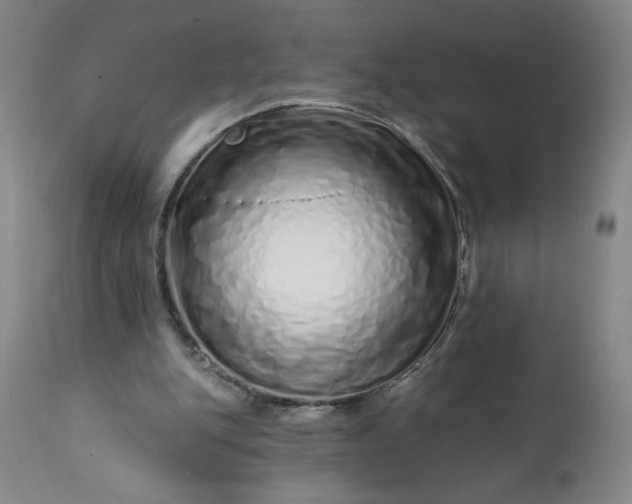 X0000113200151200909241407