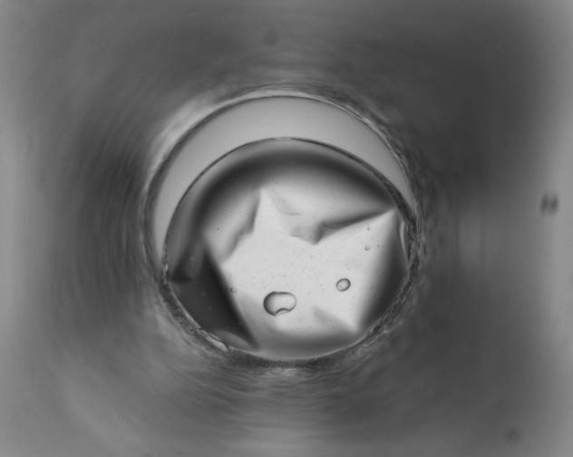 X0000113200152200909241407