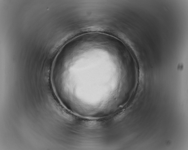 X0000113200153200909241407