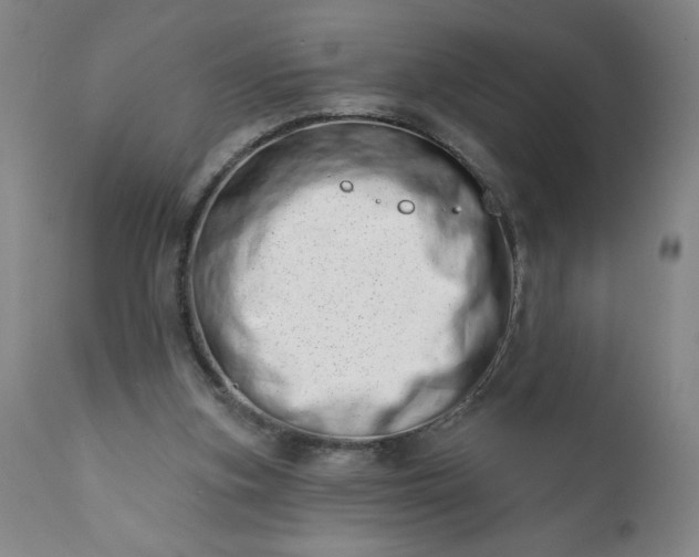 X0000113200155200909241407