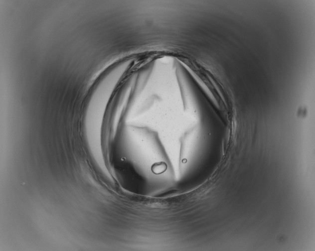 X0000113200156200909241407