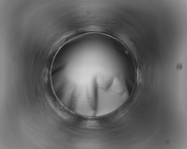 X0000113200157200909241407