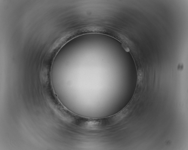 X0000113200158200909241407