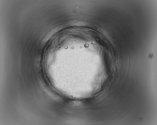 X0000113200159200909241407