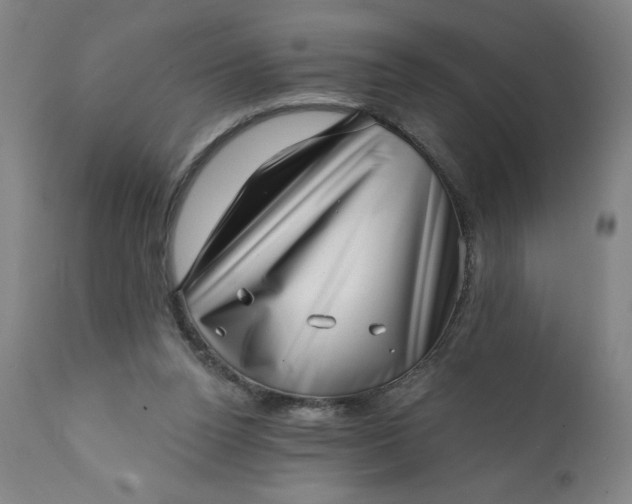 X0000113200160200909241407