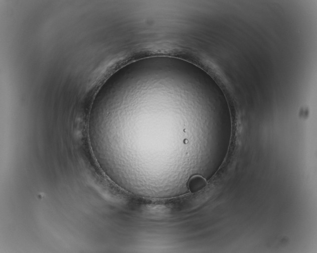 X0000113200161200909241407