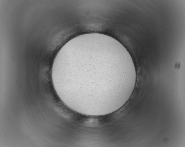 X0000113200162200909241407