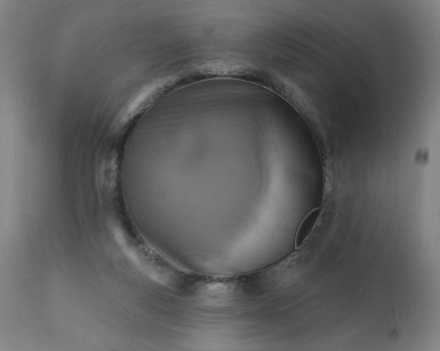 X0000113200163200909241408