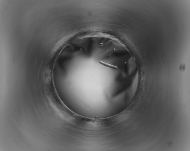 X0000113200164200909241408