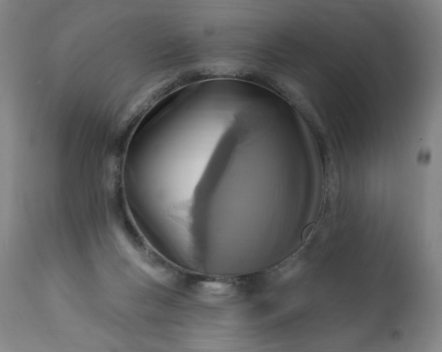 X0000113200167200909241408