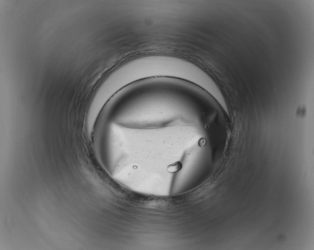 X0000113200168200909241408