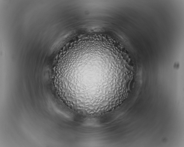 X0000113200169200909241408