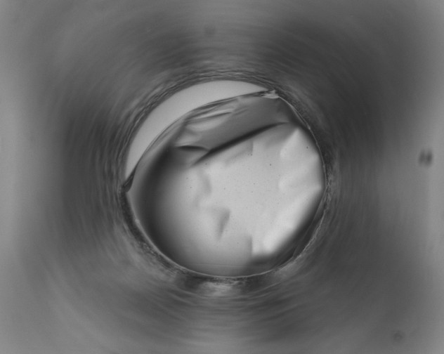 X0000113200170200909241408