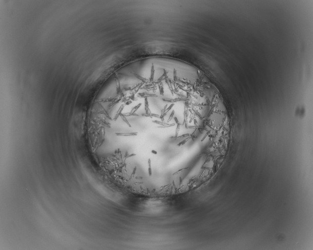 X0000113200171200909241408