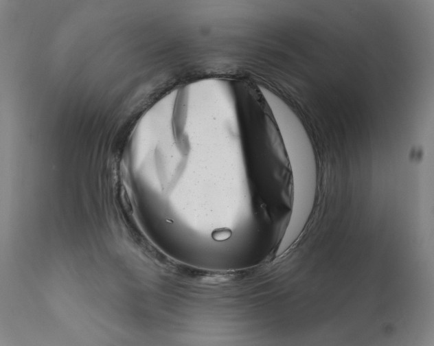 X0000113200172200909241408