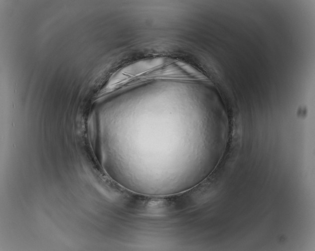 X0000113200173200909241408