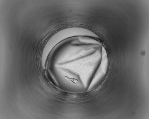 X0000113200174200909241408