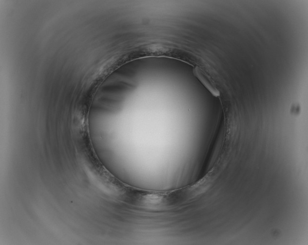 X0000113200176200909241408