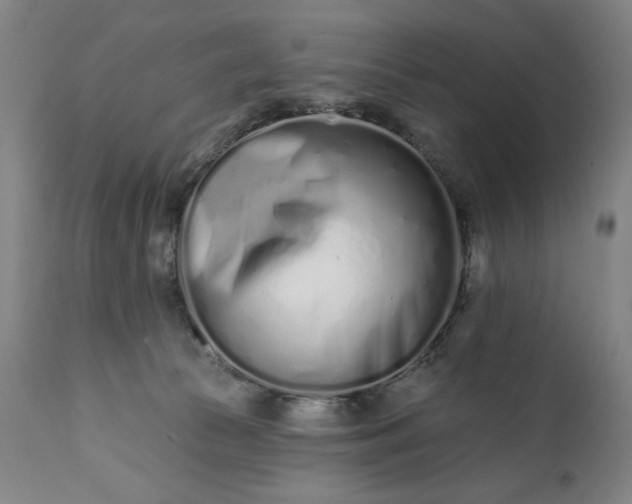 X0000113200177200909241408