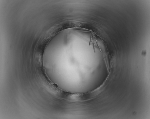 X0000113200178200909241408