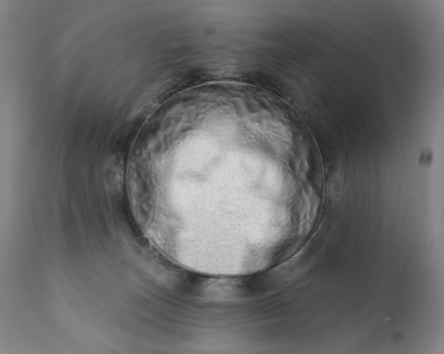 X0000113200179200909241408