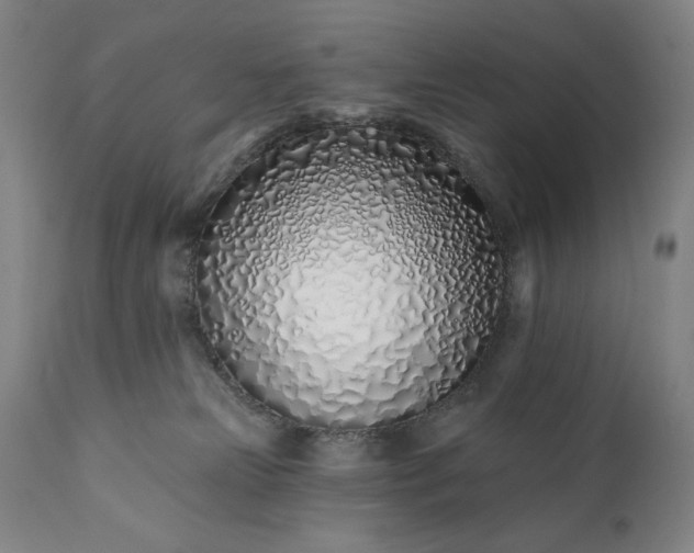 X0000113200181200909241408