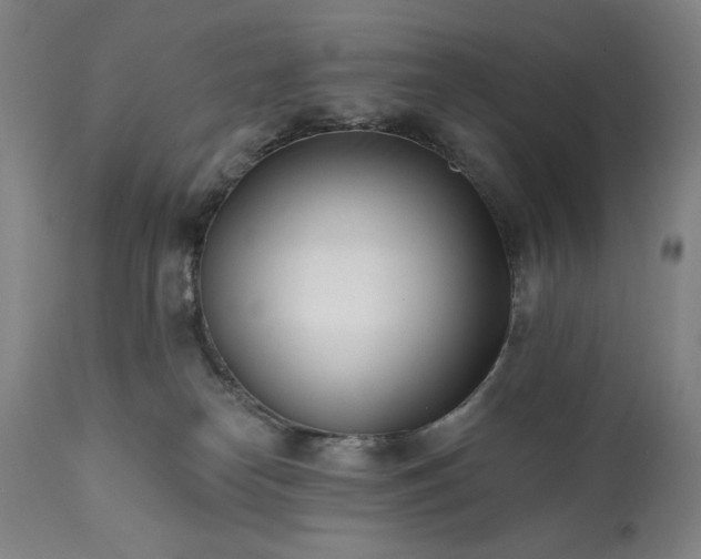 X0000113200182200909241408