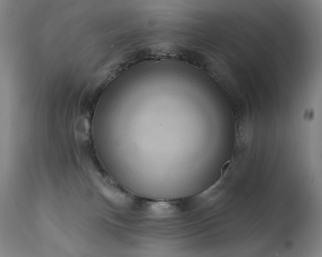 X0000113200183200909241408