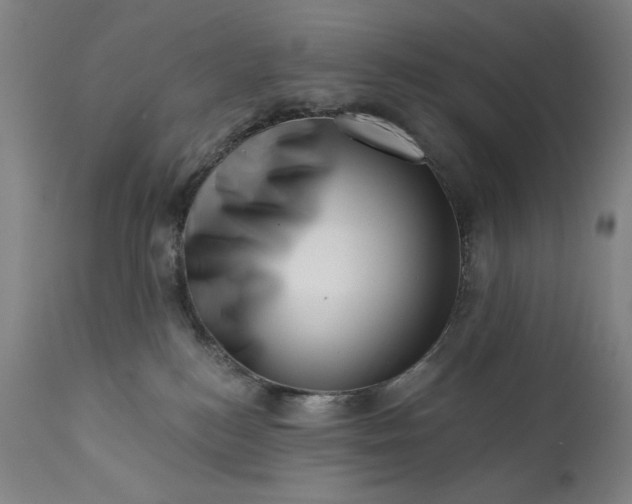 X0000113200184200909241408