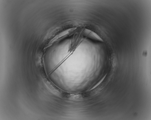 X0000113200185200909241408