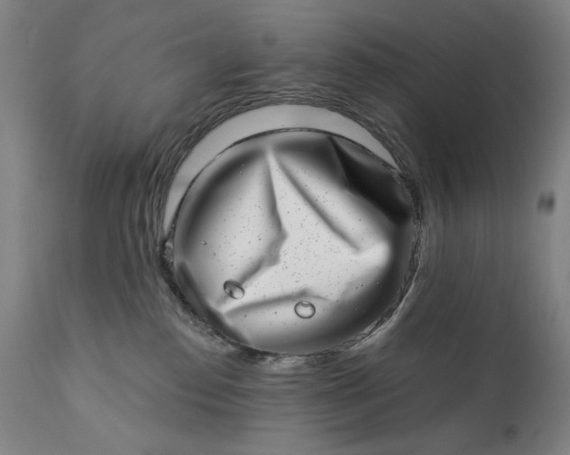 X0000113200186200909241408