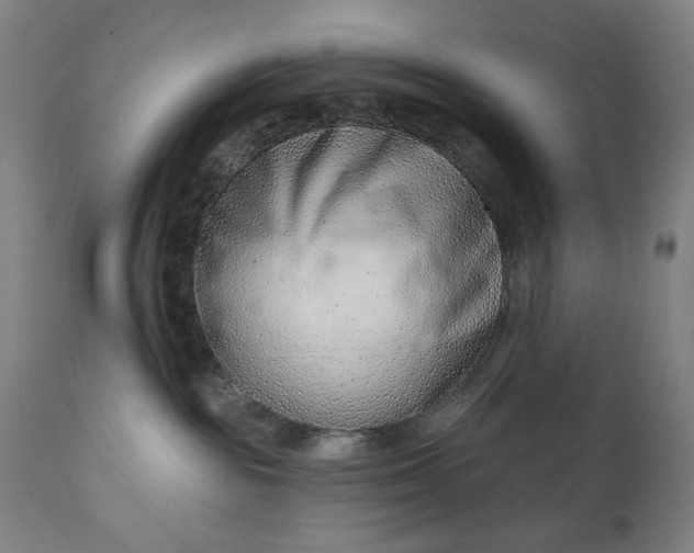 X0000113200189200909241408